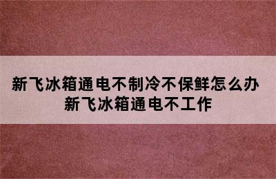 新飞冰箱通电不制冷不保鲜怎么办 新飞冰箱通电不工作